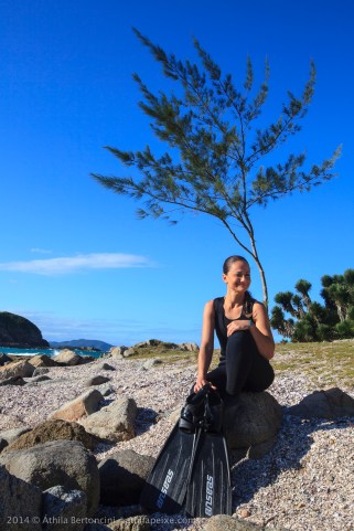 Copyright Áthila Bertoncini Andrade