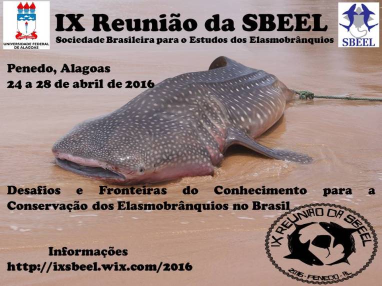 Sbeel2016baleia